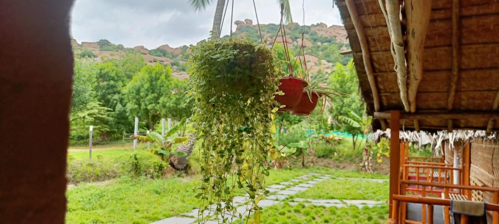 فندق Hampi Wildstone المظهر الخارجي الصورة